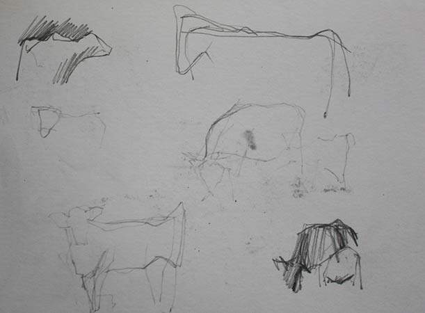 Studying Cow Forms Graphite