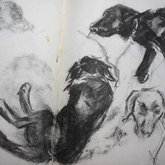 Dogs In Charcoal